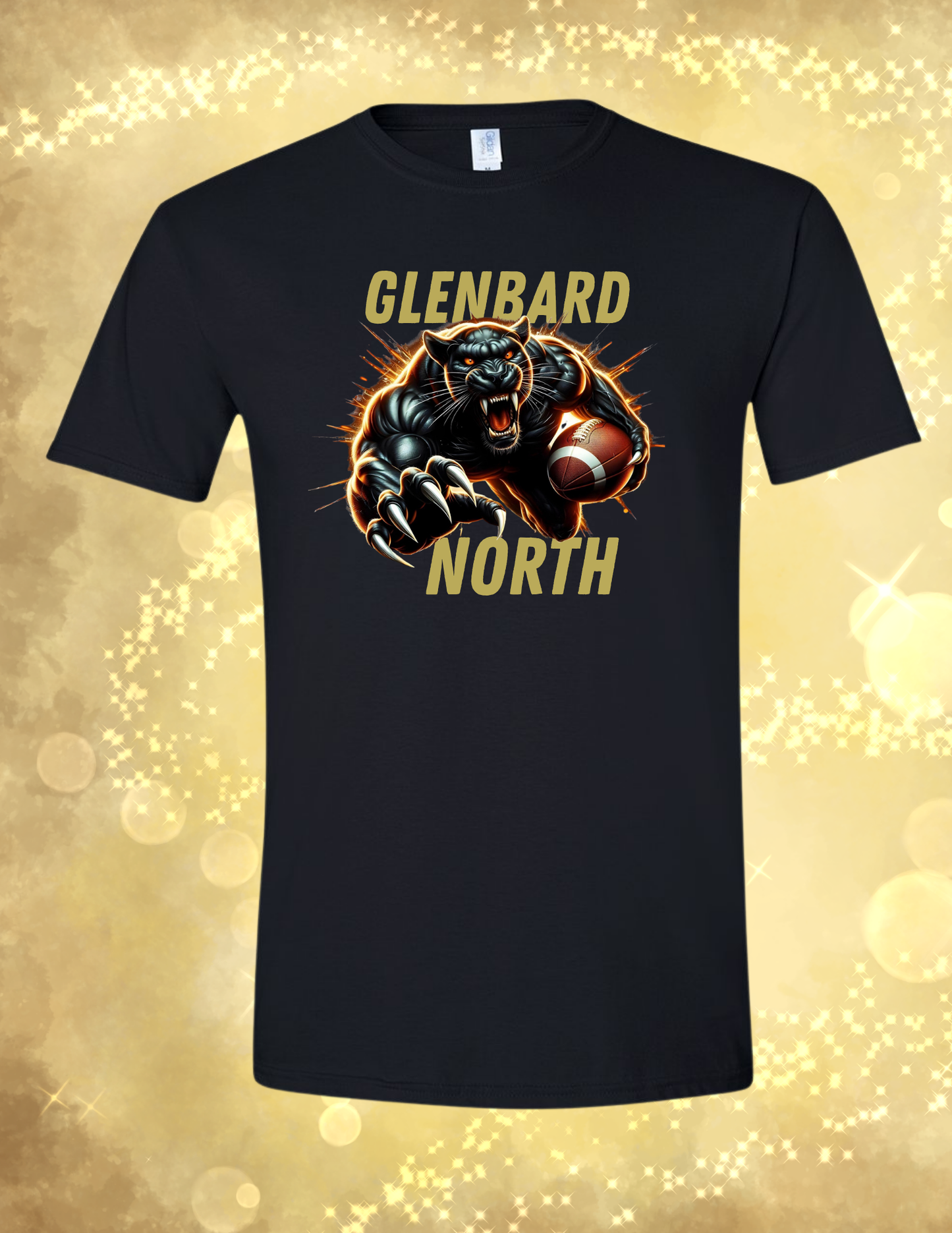 Panthers Glenbard North Football fire