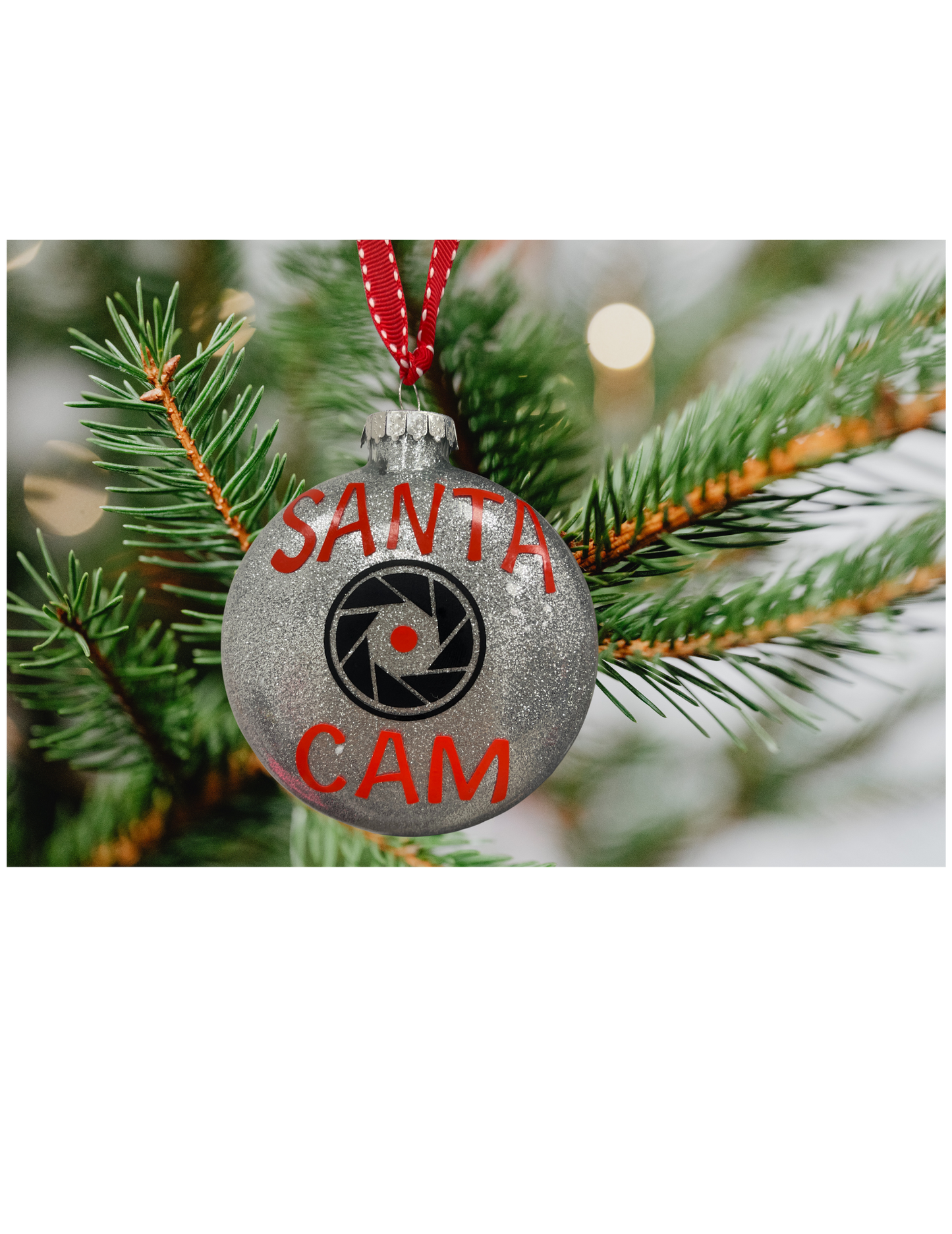 Santa Cam