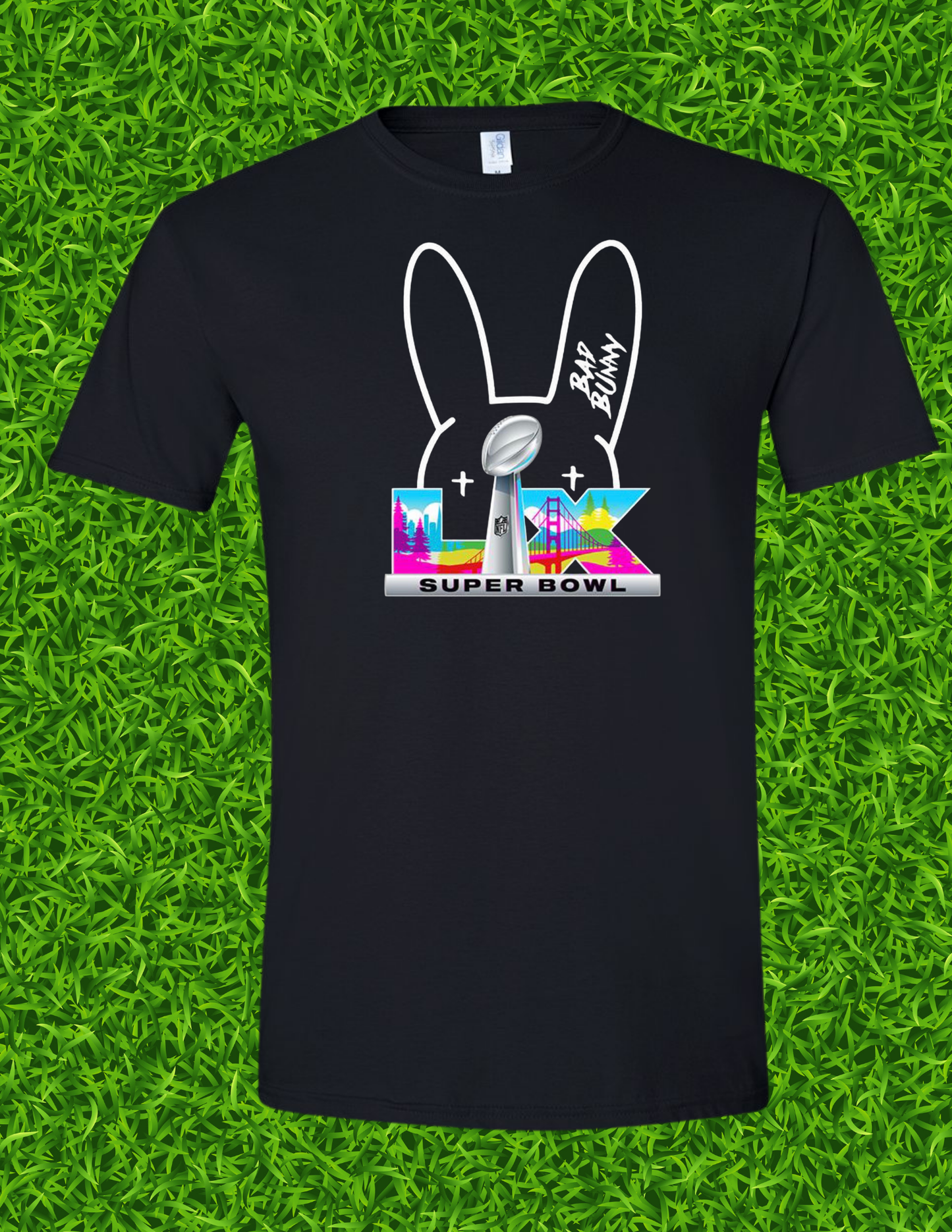 Superbowl Bunny Ears