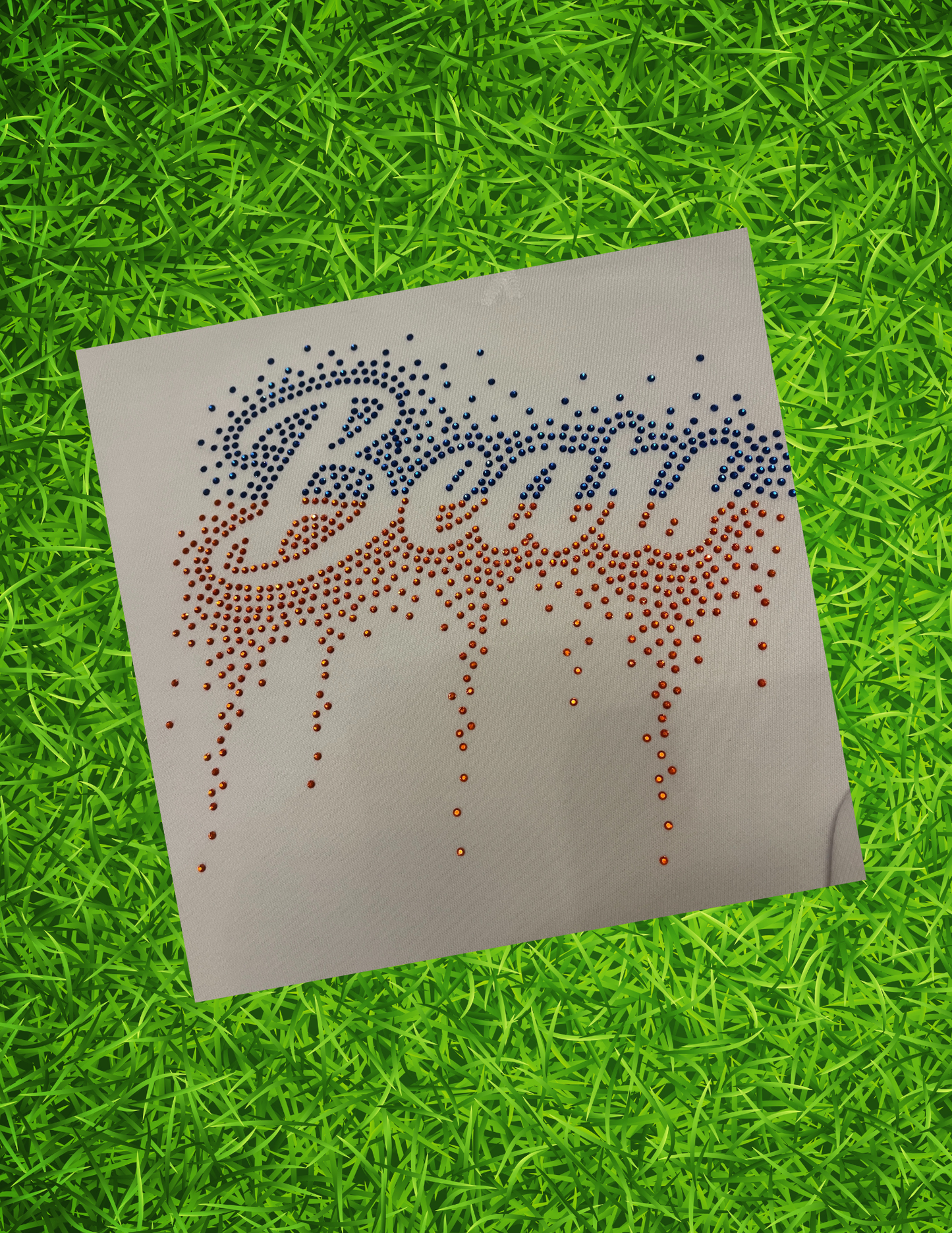 Rhinestone Bling Bears