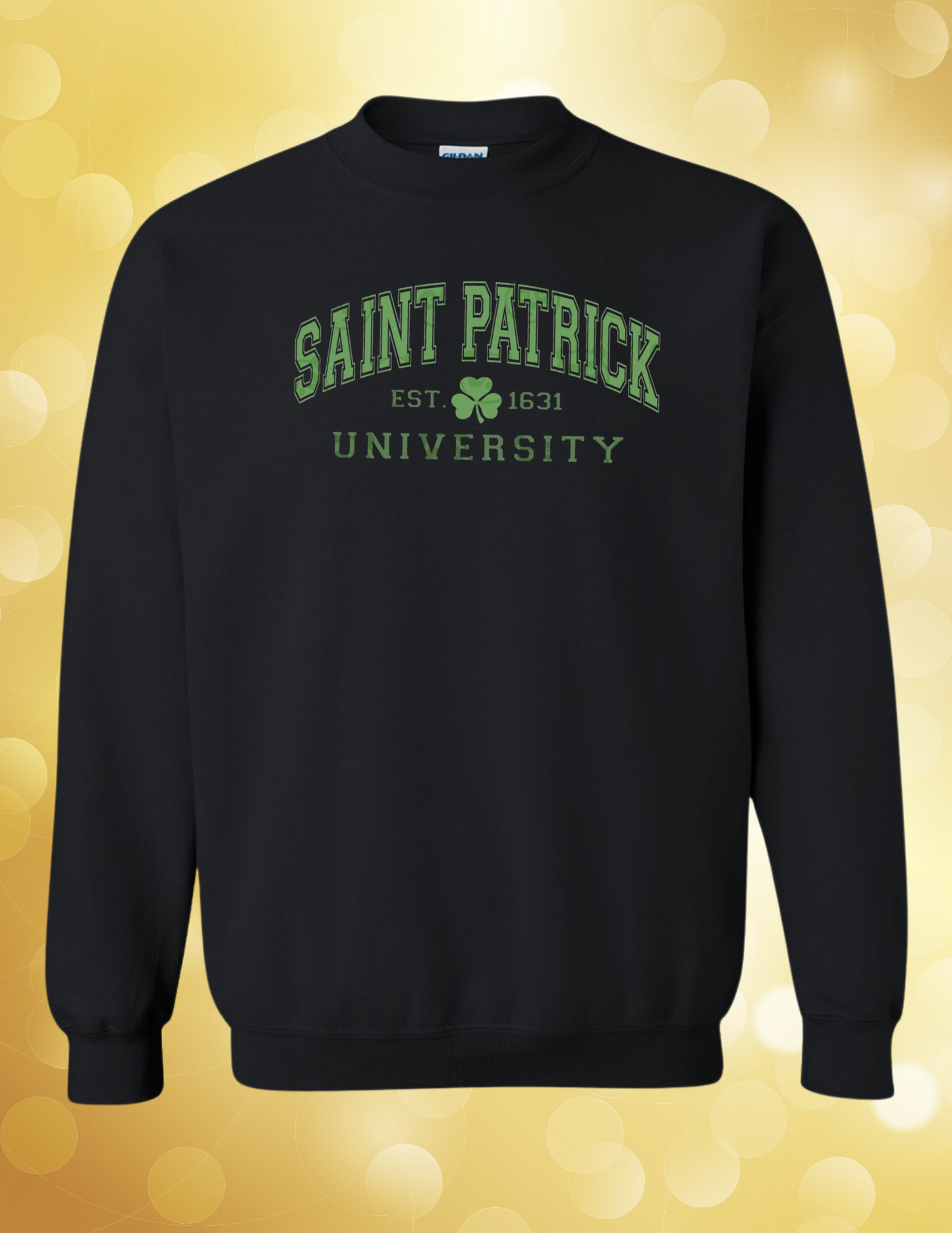 St. Patrick University 17