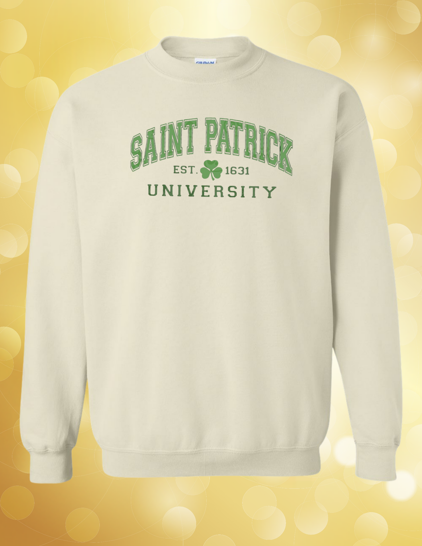 St. Patrick University 17