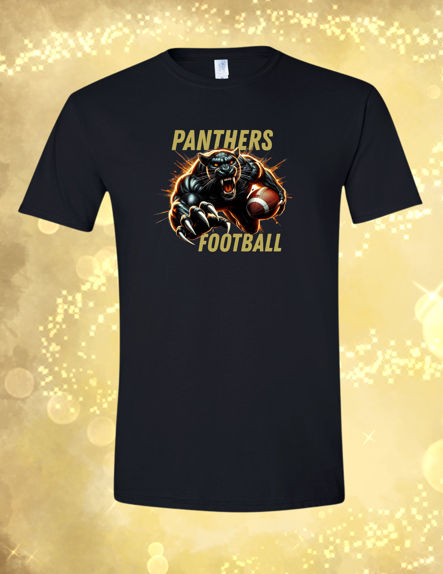 Panthers Glenbard North Football fire