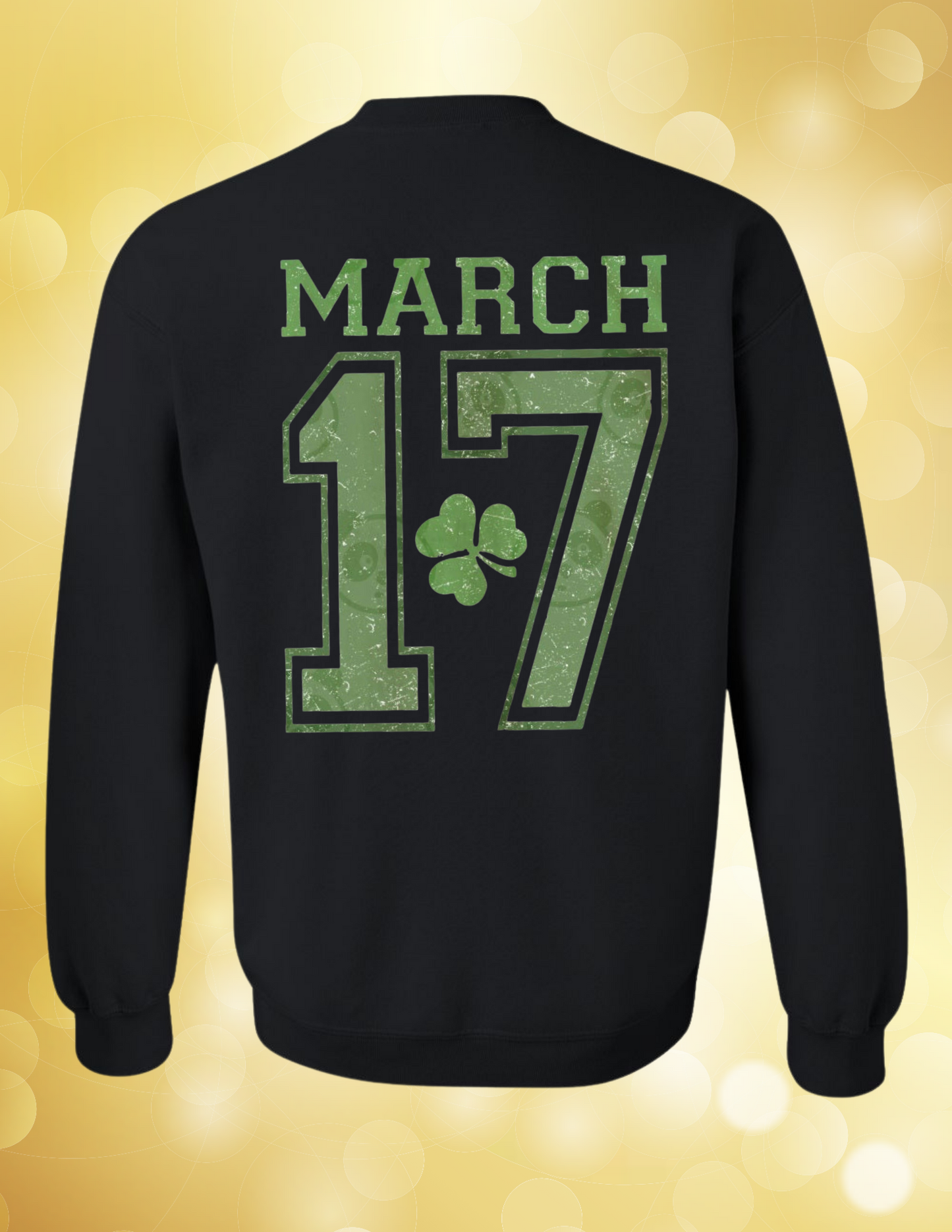 St. Patrick University 17