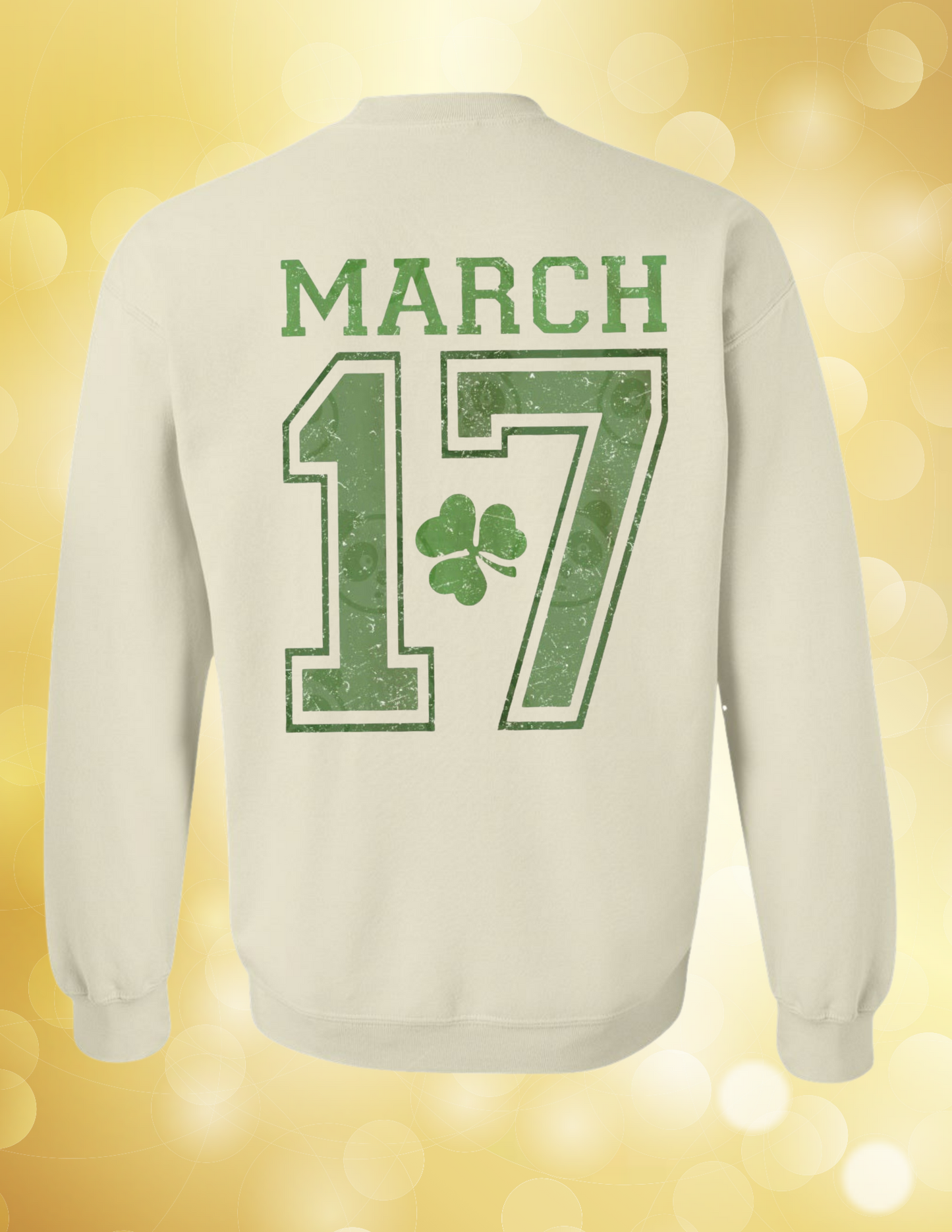 St. Patrick University 17