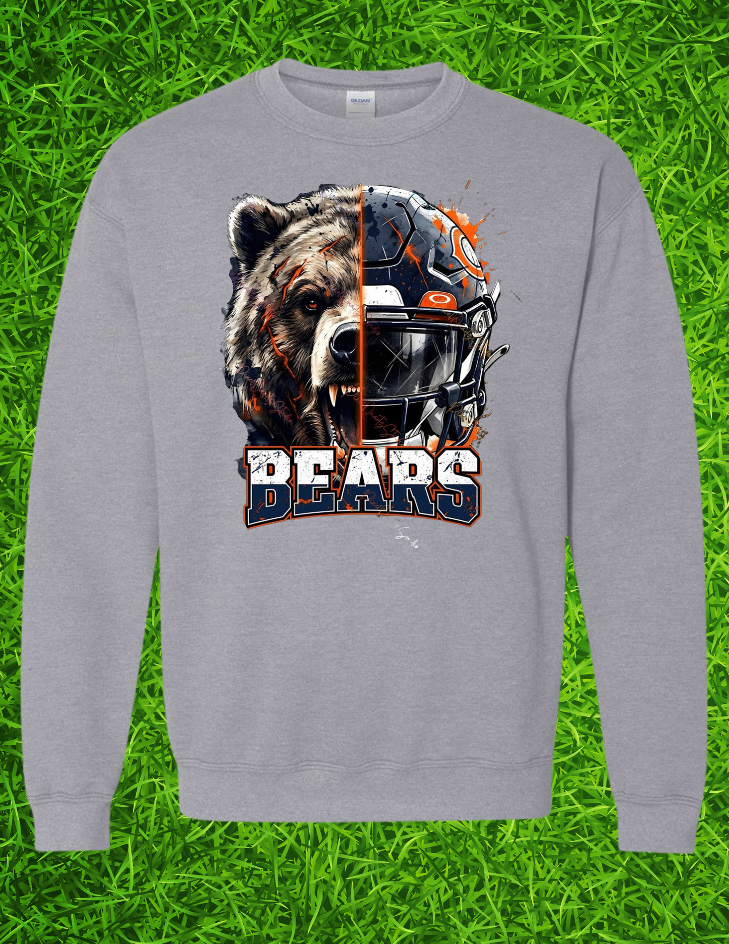 Bears Helmet