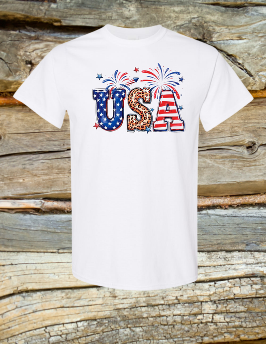 USA Cheetah
