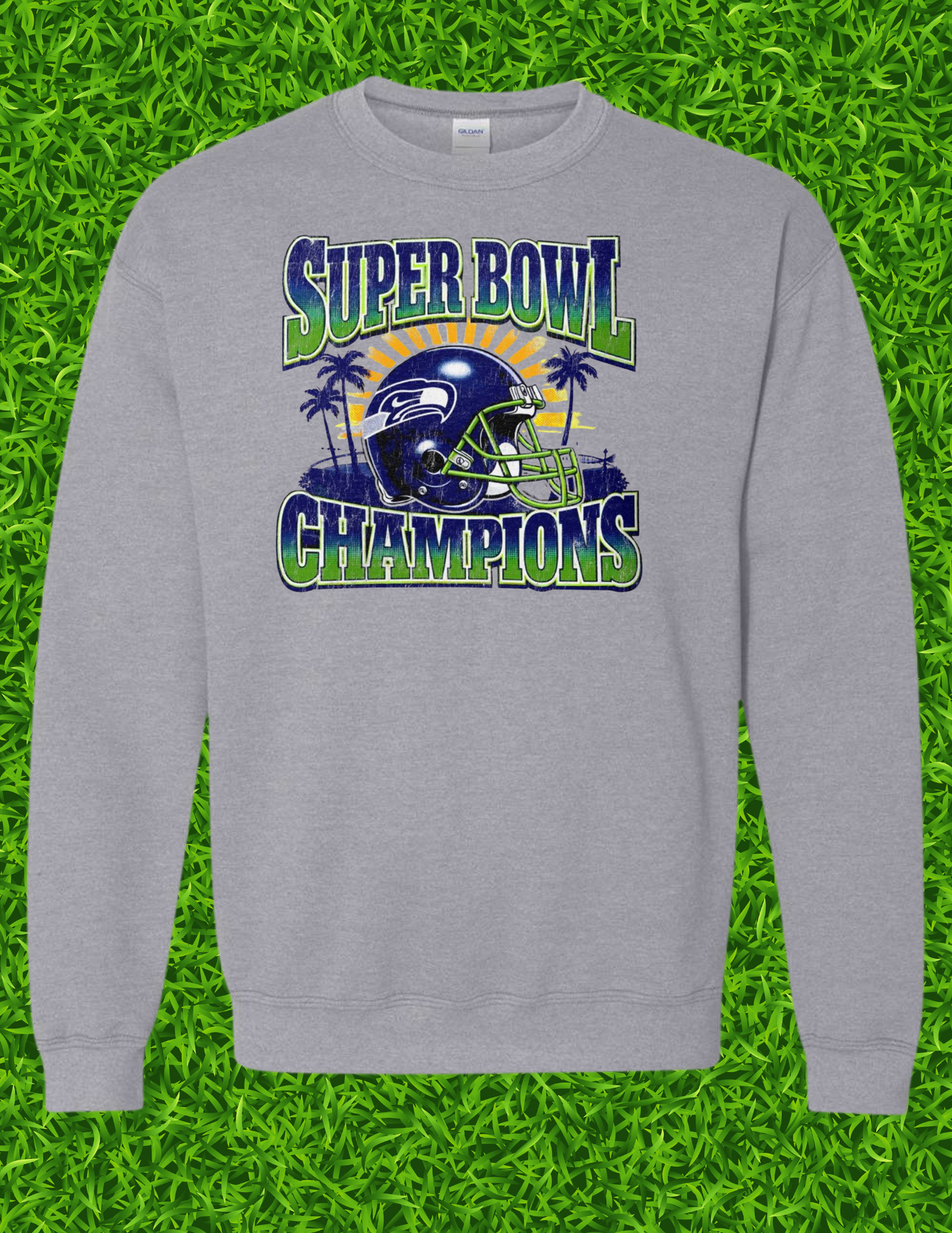 Super bowl champions helmet