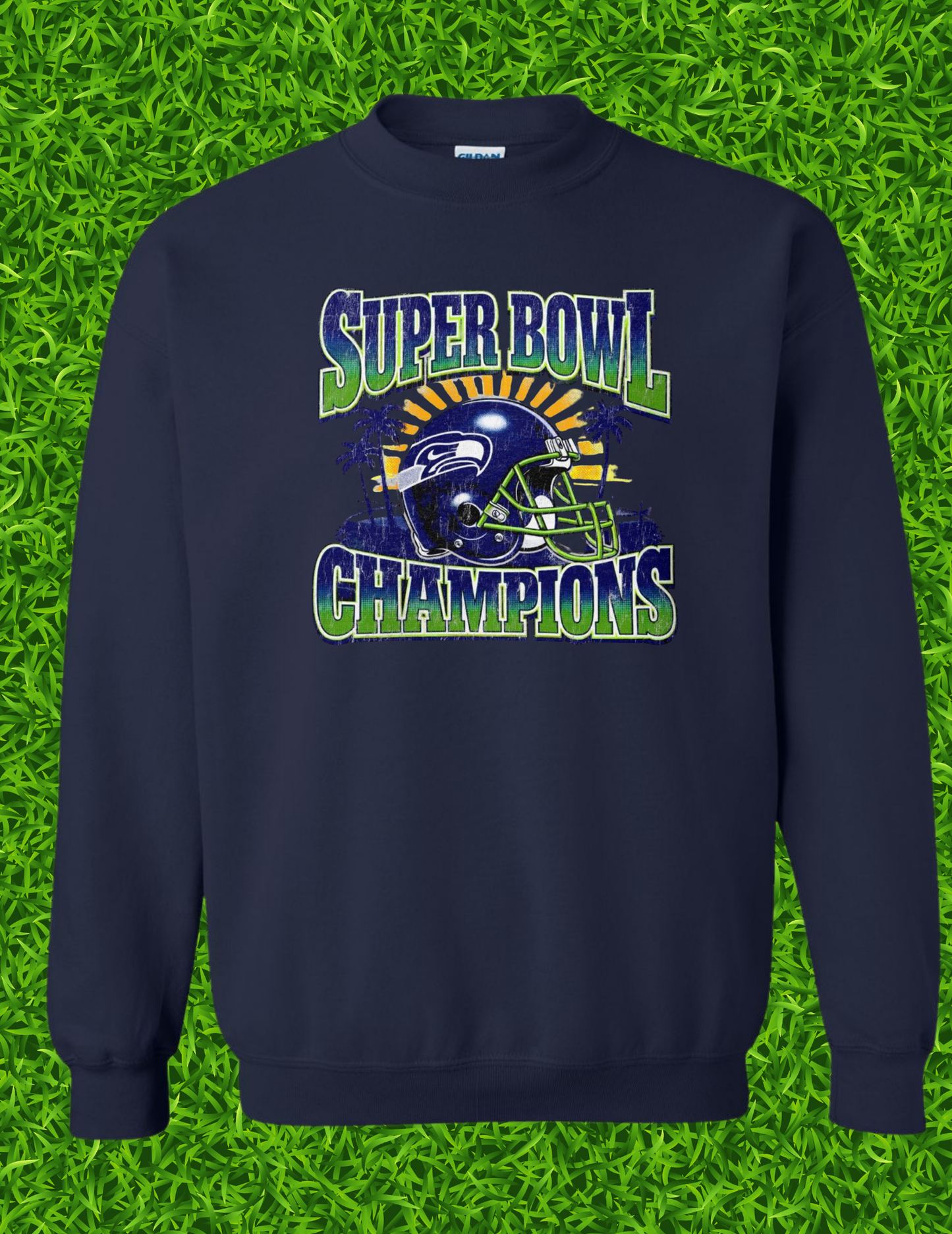 Super bowl champions helmet