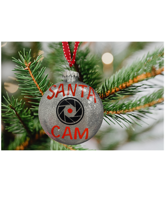 Santa Cam